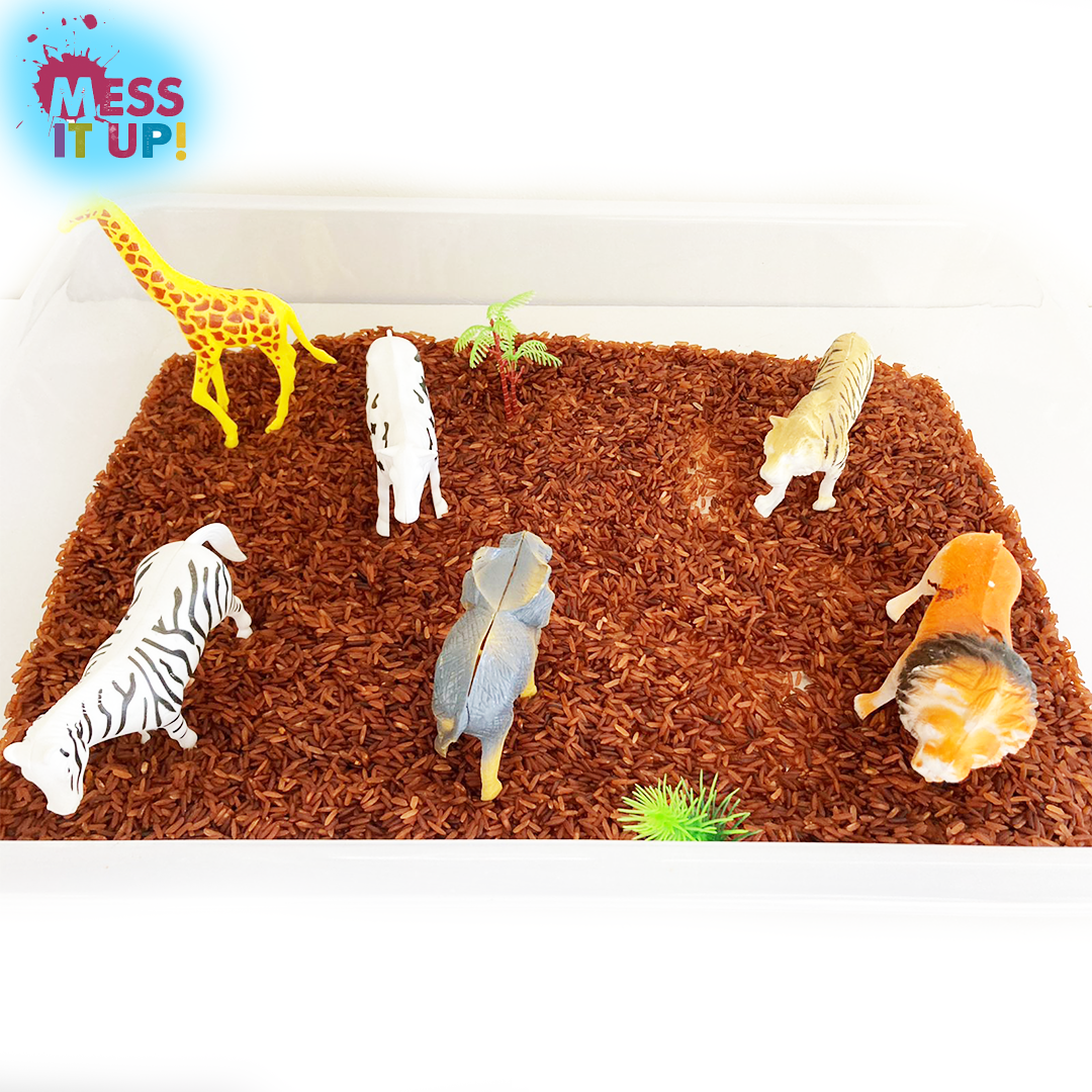 Coloured Rice - Filler - Mess It Up Kids